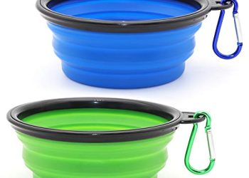 40 Migliori Ciotola Pieghevole Cane Nel 2022: Offerte Economiche E Di Migliore Qualità Per Te!