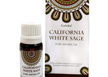 40 Migliori Olio Essenziale Salvia Nel 2022: Offerte Economiche E Di Migliore Qualità Per Te!