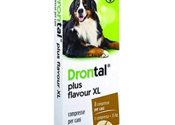 40 Migliori Drontal Plus Cane Nel 2022: Offerte Economiche E Di Migliore Qualità Per Te!