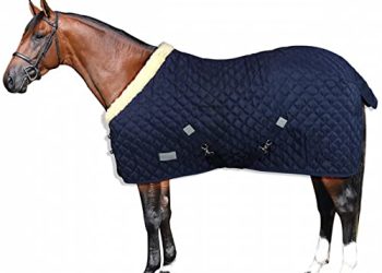 40 Migliori Coperte Per Cavalli Nel 2022: Offerte Economiche E Di Migliore Qualità Per Te!