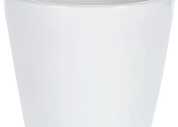 40 Migliori Vaso Ceramica Bianco Nel 2022: Offerte Economiche E Di Migliore Qualità Per Te!