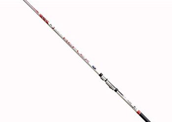 40 Migliori Canne Da Pesca Trota Nel 2022: Offerte Economiche E Di Migliore Qualità Per Te!