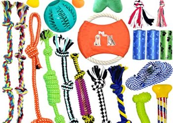 40 Migliori Giochi Per Cani Resistenti Nel 2022: Offerte Economiche E Di Migliore Qualità Per Te!