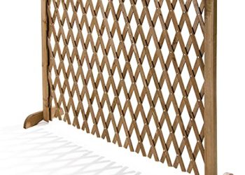 40 Migliori Recinzione In Legno Nel 2022: Offerte Economiche E Di Migliore Qualità Per Te!