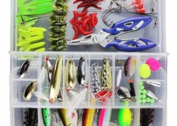40 Migliori Esche Artificiali Spinning Nel 2022: Offerte Economiche E Di Migliore Qualità Per Te!